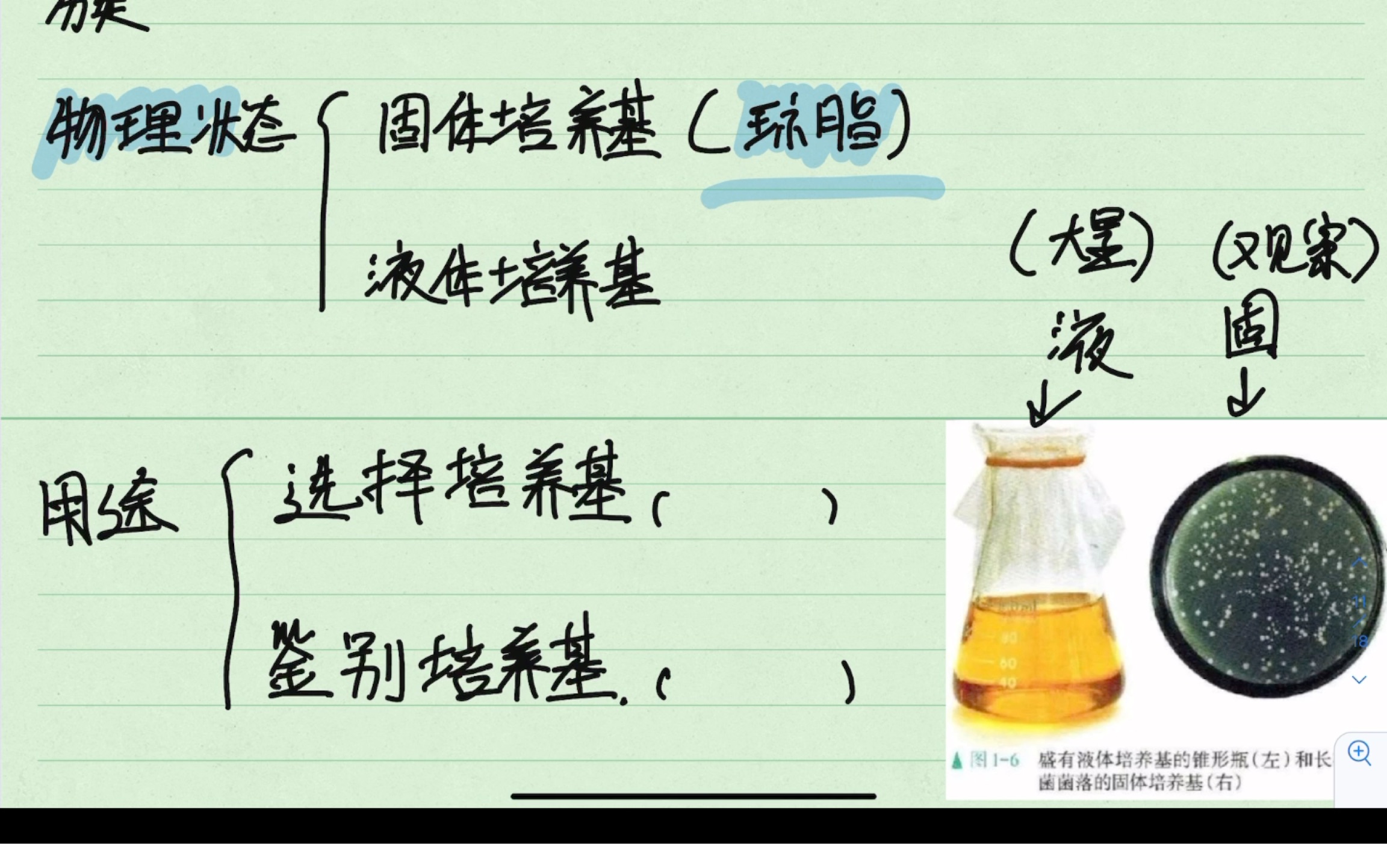 选修三 选择培养基鉴别培养基区分哔哩哔哩bilibili