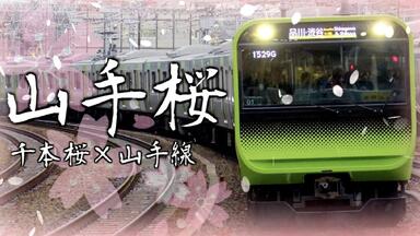 サヨナラサヨナラサヨナラ The Birthday Official | クハラカズユキ、 FM802 「東京スカ