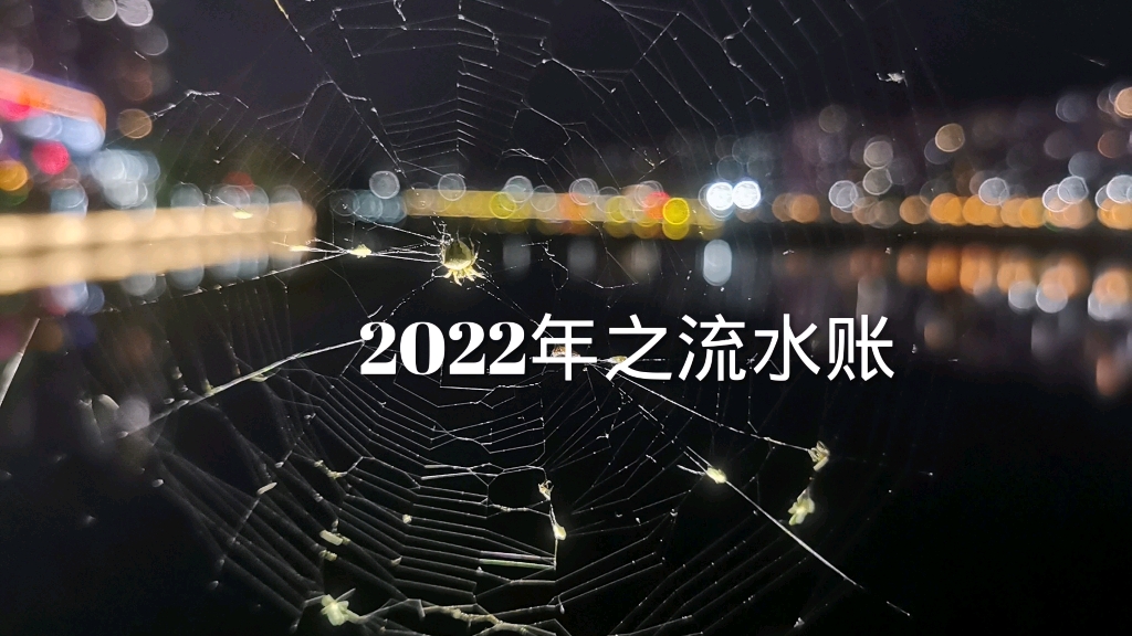 2022年之流水账20221231byCC哔哩哔哩bilibili