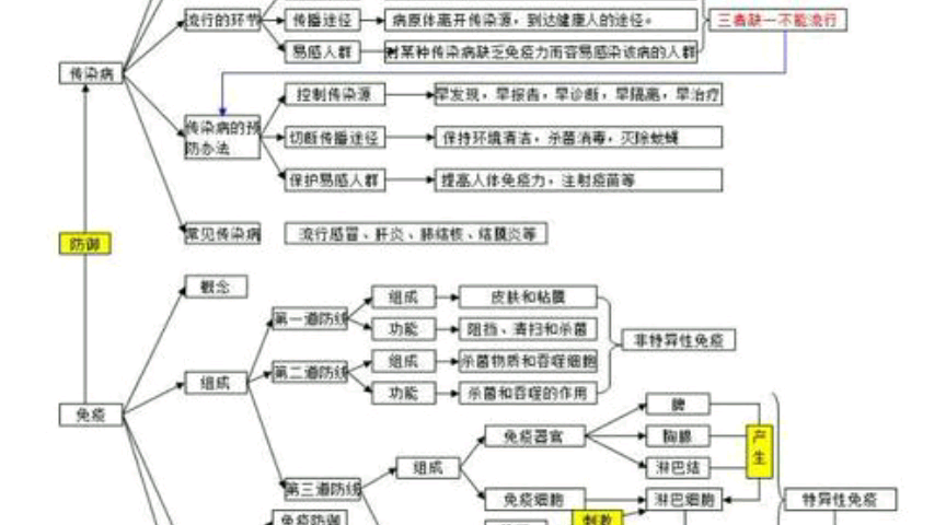 活动作品冷知识电磁成立9
