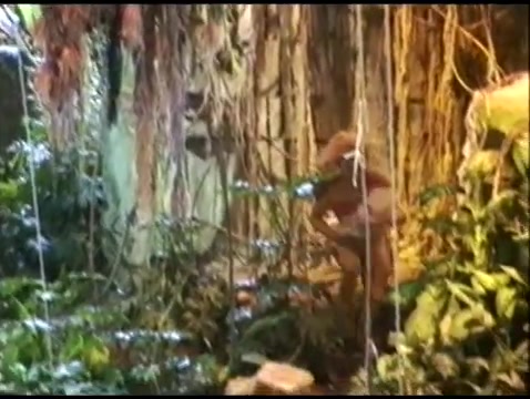 [图]【巴黎迪士尼乐园】丛林剧场：泰山奇遇 Tarzan, la Rencontre • The Tarzan Encounter