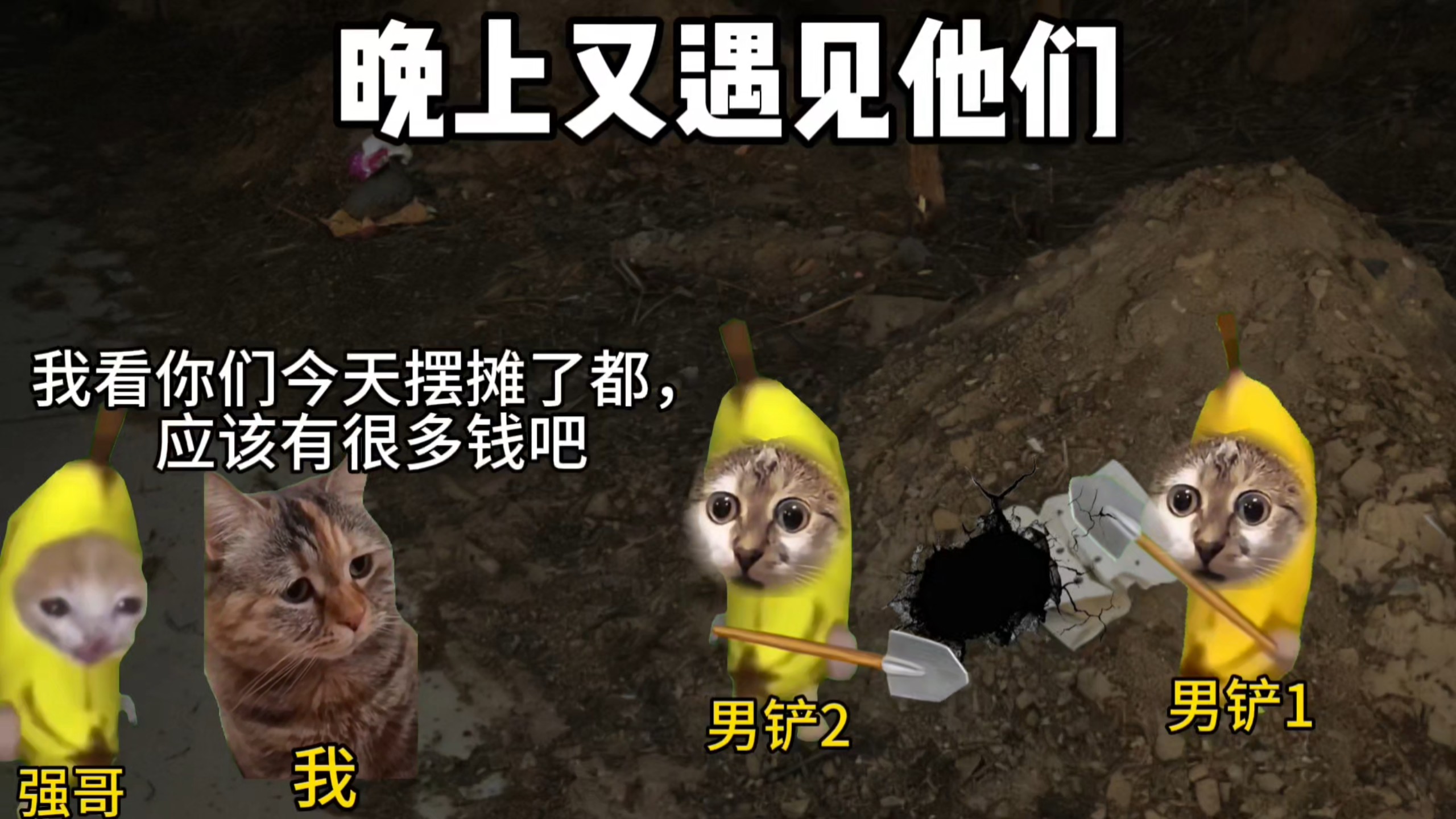 被挖坟的陷害了(与流浪狗斗智斗勇67)-蛋子的猫meme-蛋子的猫meme-哔哩哔哩视频