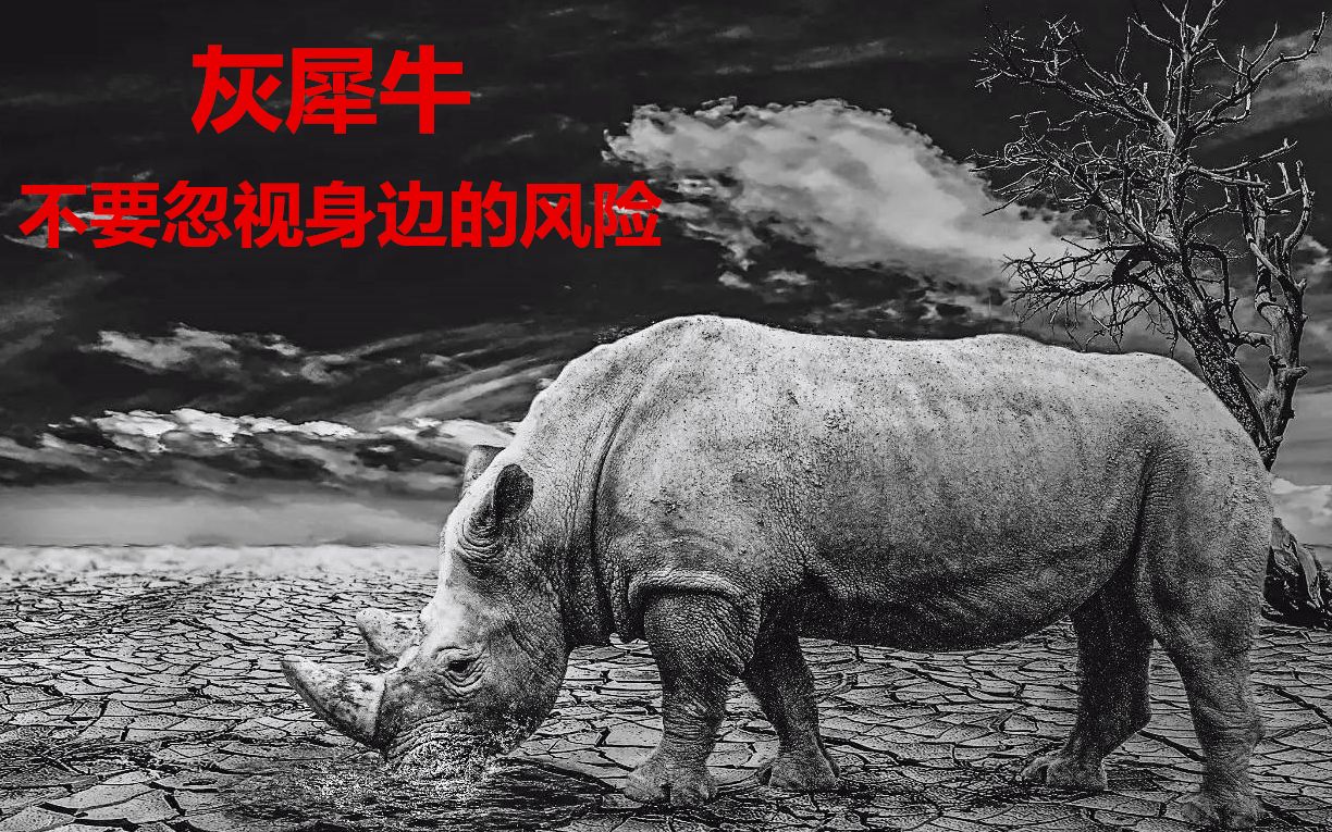 投资小知识灰犀牛不要忽视身边的风险