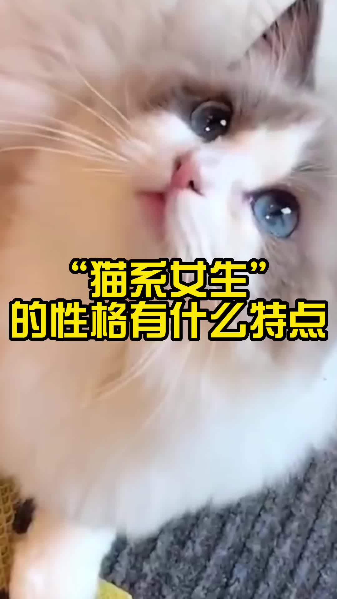 [图]“猫系女生”的性格有什么特点