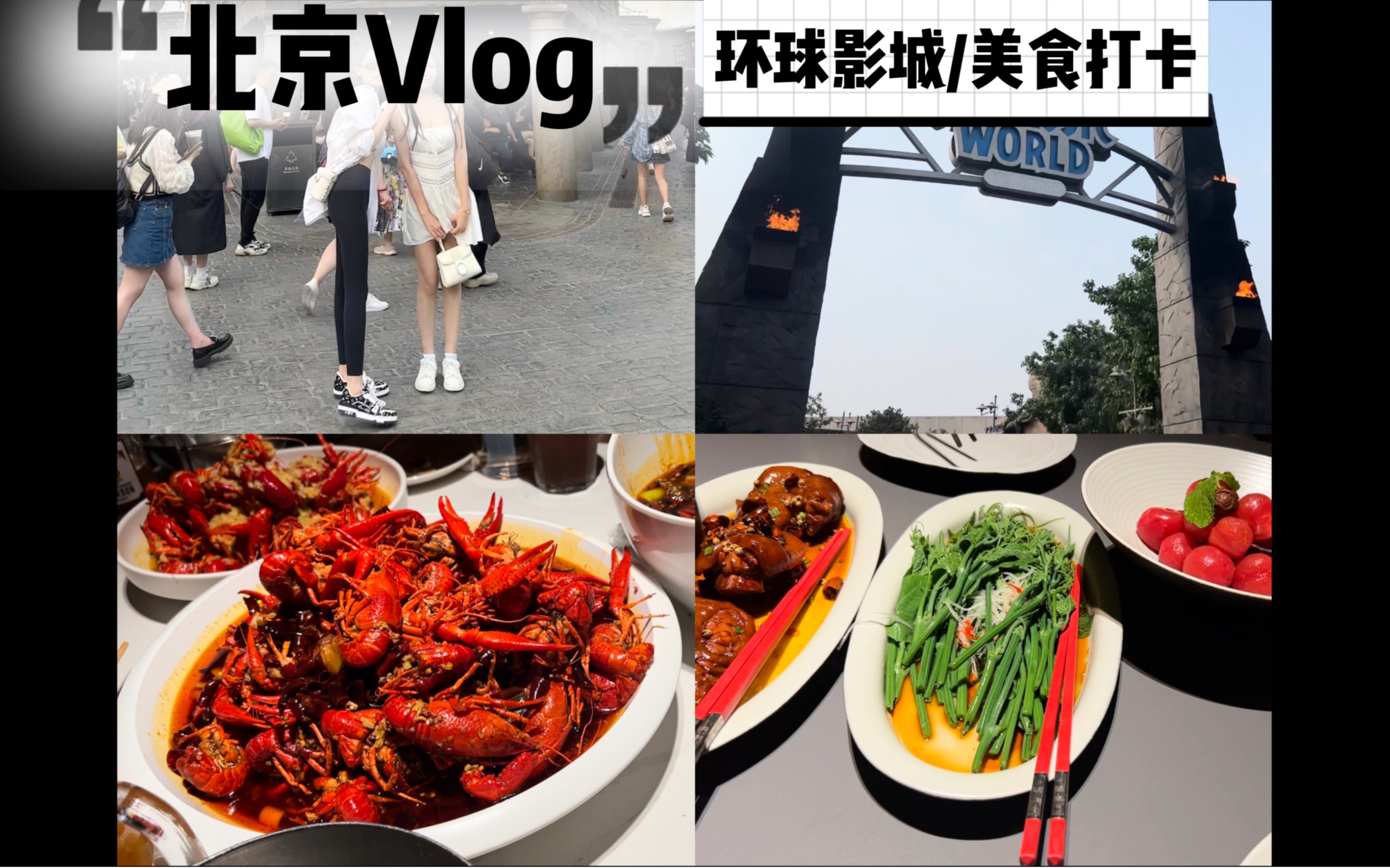 北京环球Vlog哔哩哔哩bilibili