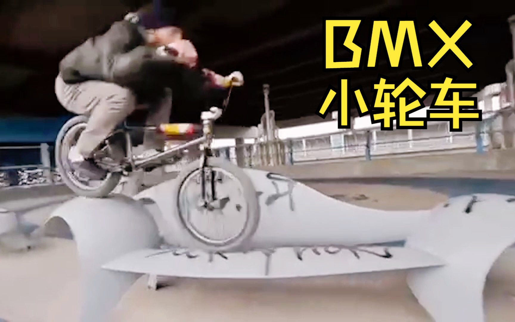 [bmx小輪車] 車手justin coble - 01fear is a liar01