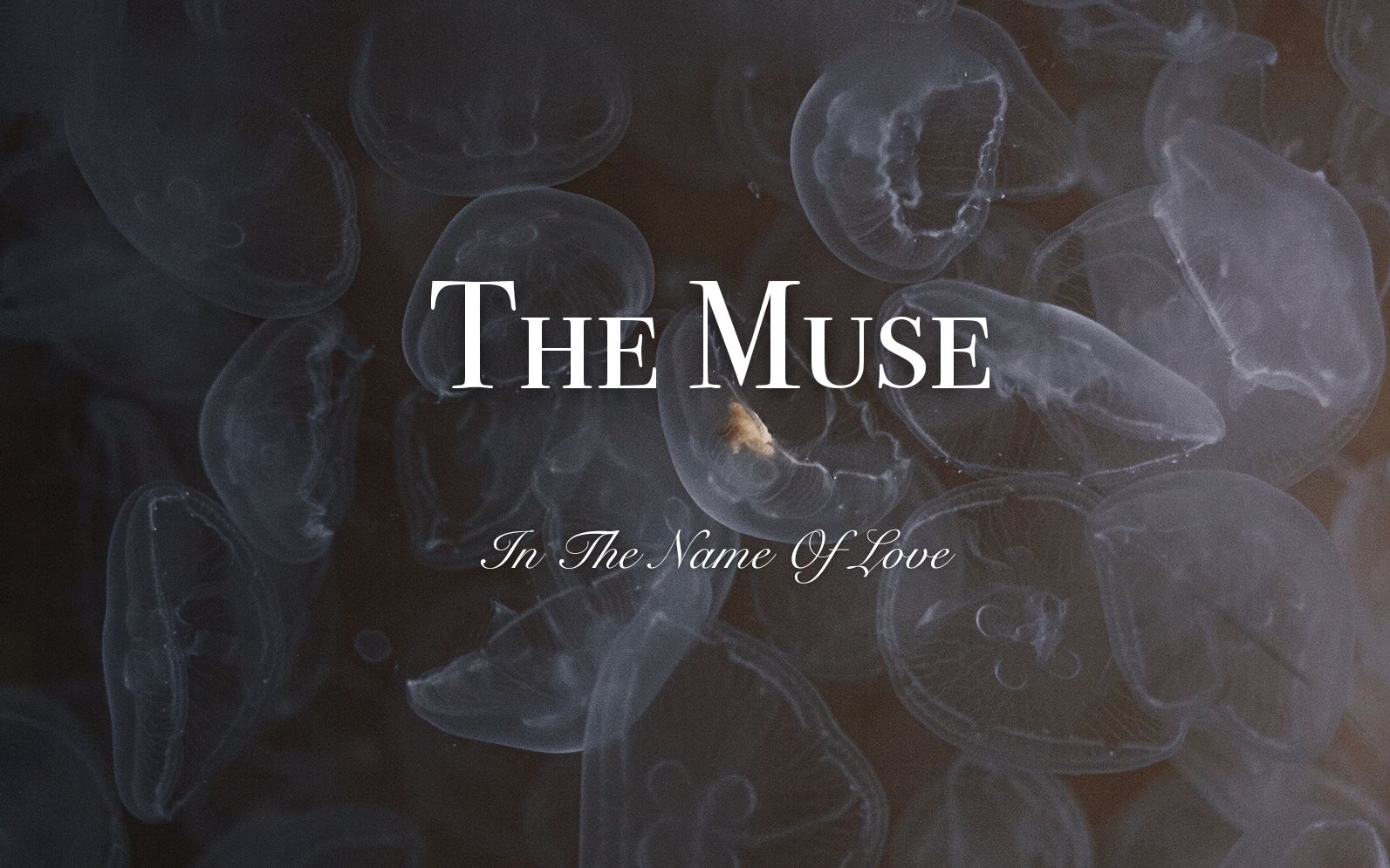 [图]【THE MUSE】以爱之名