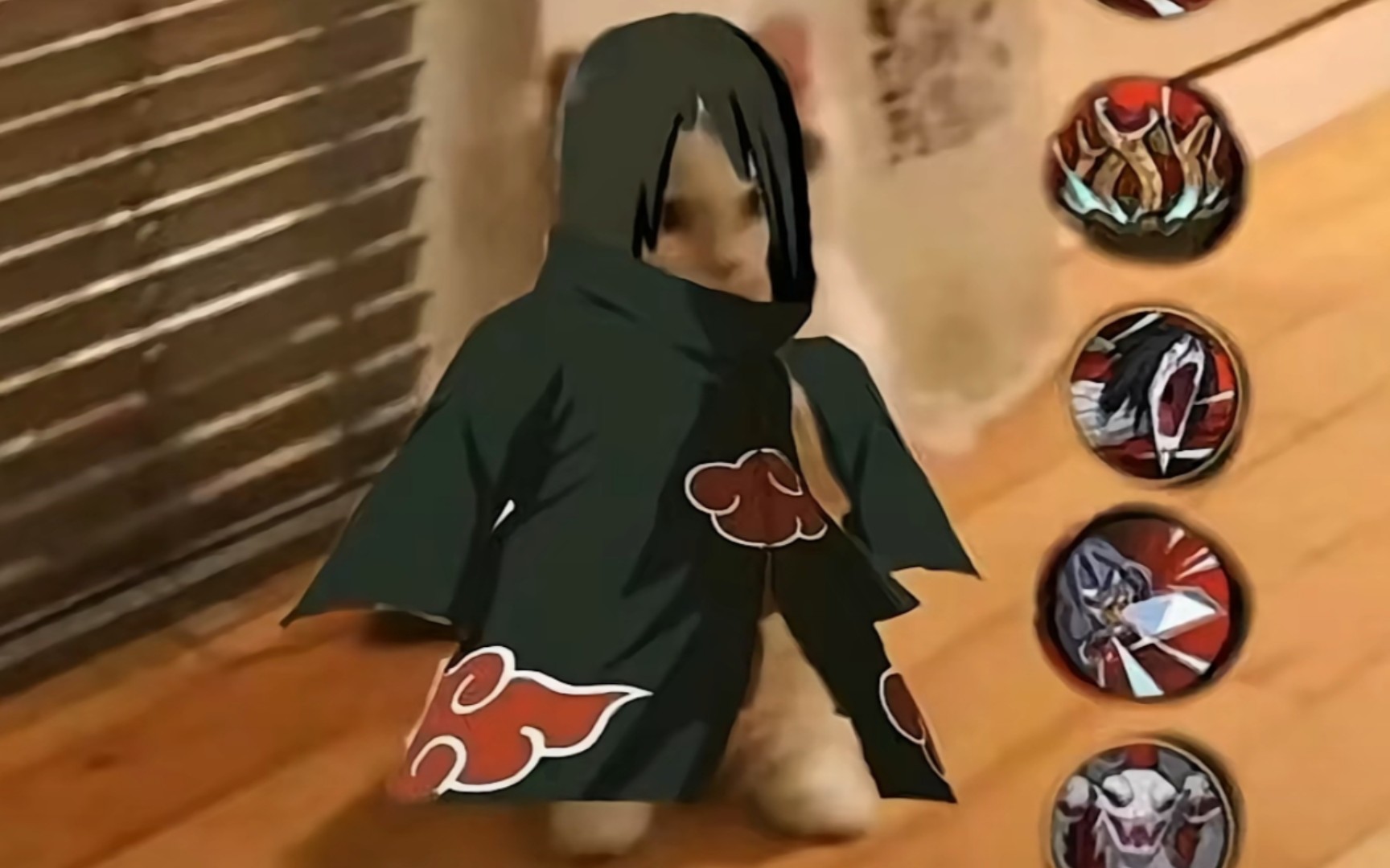 荤素搭配,干饭不累