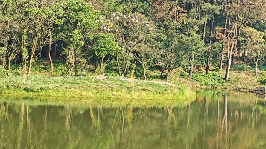 安徽宣城鳄鱼湖观鸟台