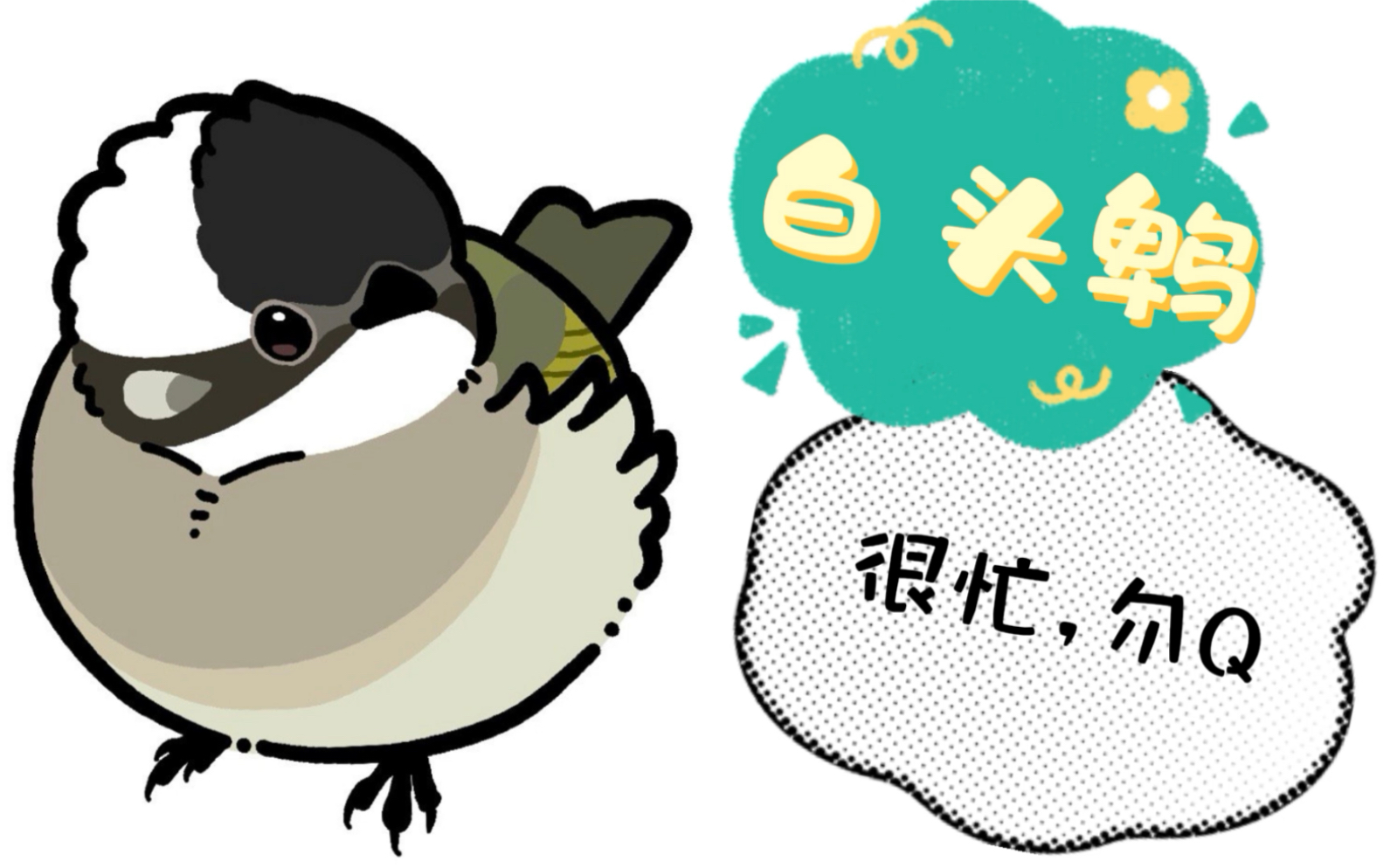 当周杰伦遇到白头鹎,哎呦不错哦