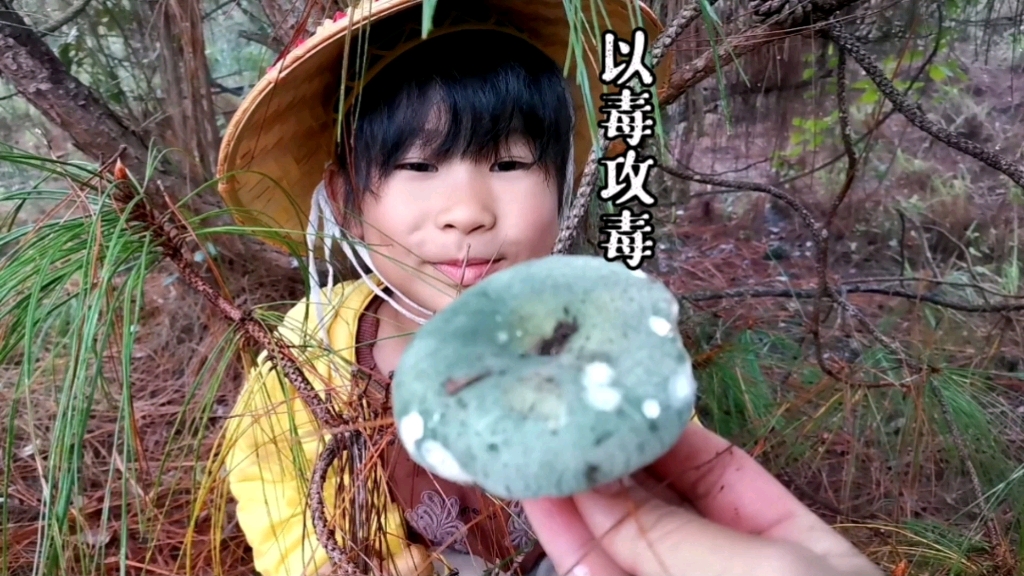 前几天吃见手青中毒了今天搞点其它菌子解解毒,菌子米线真的太好吃了哔哩哔哩bilibili