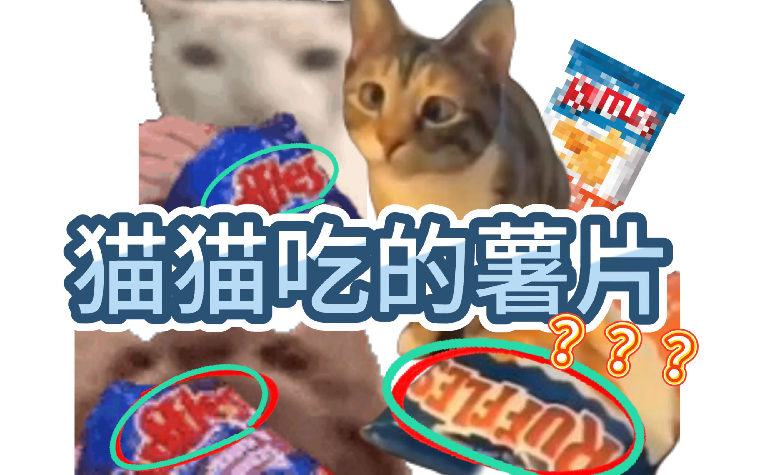 [图]尝一下猫猫到底在吃什么薯片