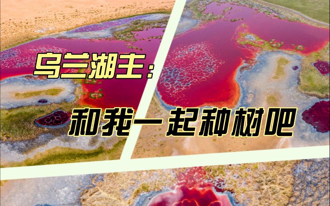 [图]乌兰湖湖主：一起守护“地球心脏 ”，来和我们一起种树吧！