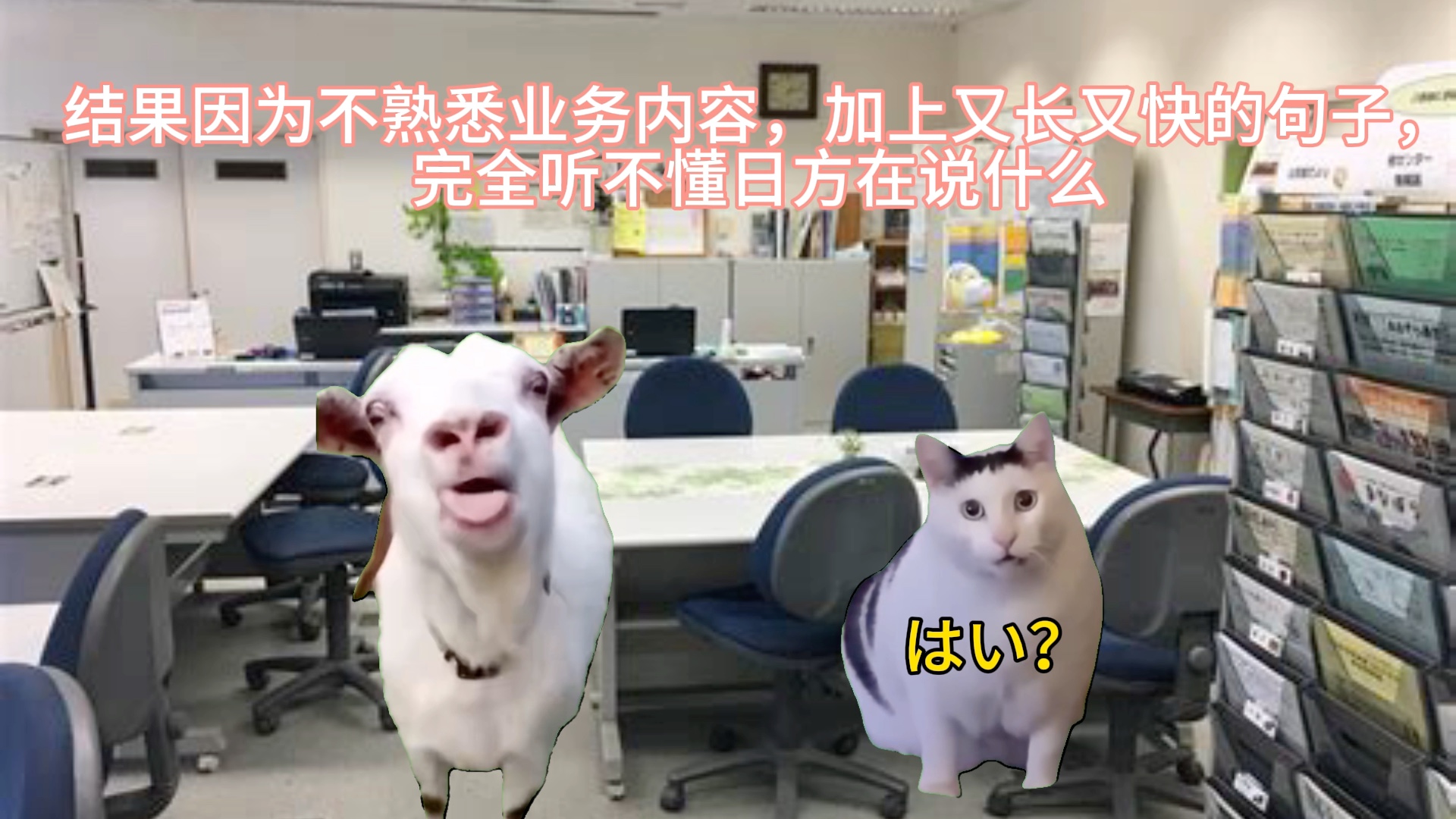 【猫meme】一毕业就进公司当日语翻译了哔哩哔哩bilibili