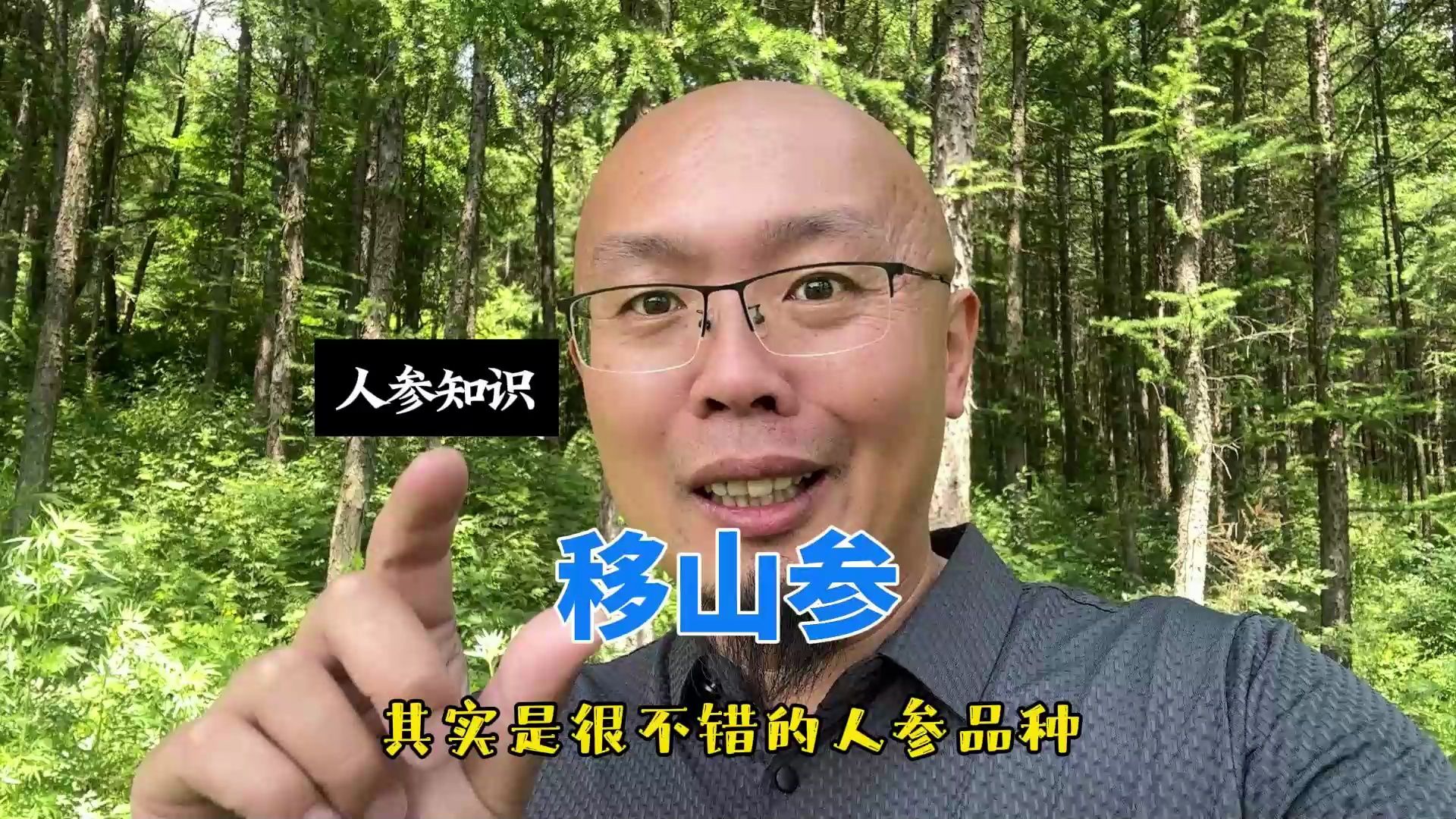 很多人没听过移山参吧?这是第二档的好参哔哩哔哩bilibili