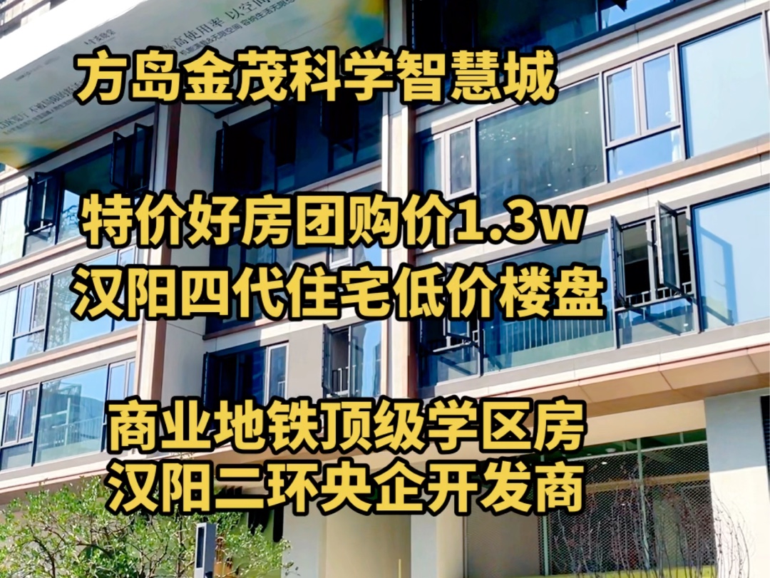 汉阳二环方岛金茂智慧城最便宜的房子!商业地铁顶级学区房哔哩哔哩bilibili