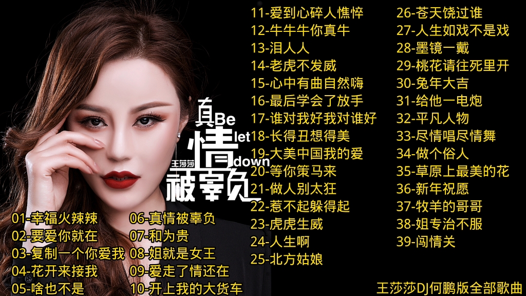 王莎莎「dj何鹏版」全部歌曲合集(下)