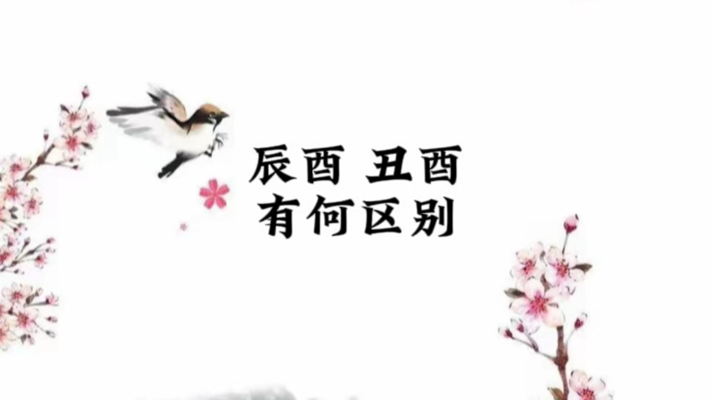 辰酉、丑酉的区别哔哩哔哩bilibili