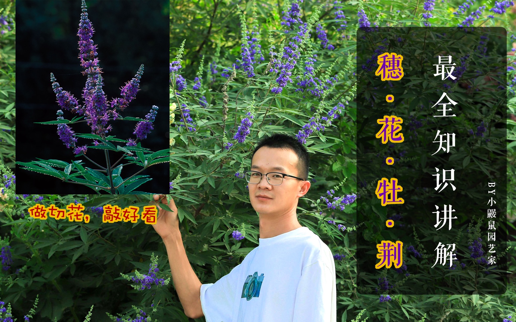 夏季花园的一抹清凉穗花牡荆,家里有矿的来~哔哩哔哩bilibili