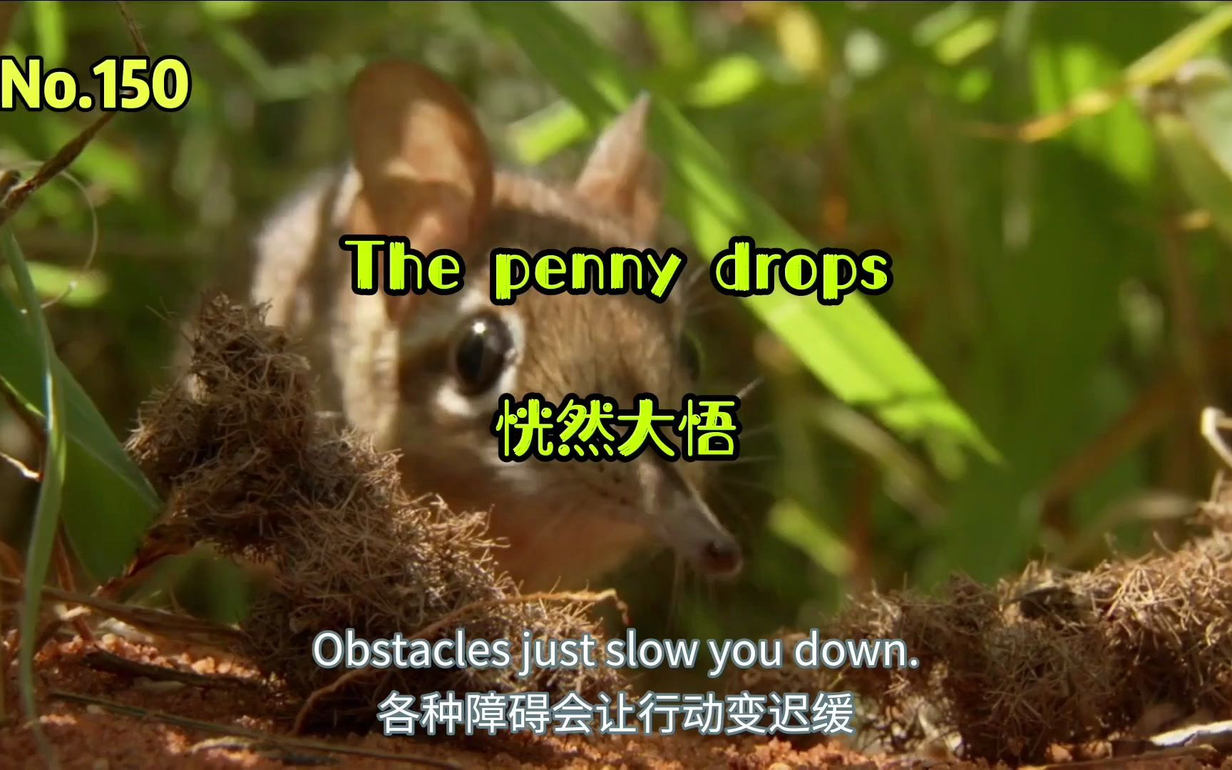 英语俚语 the penny drops 如梦初醒 恍然大悟 豁然开朗 茅塞顿开哔哩哔哩bilibili