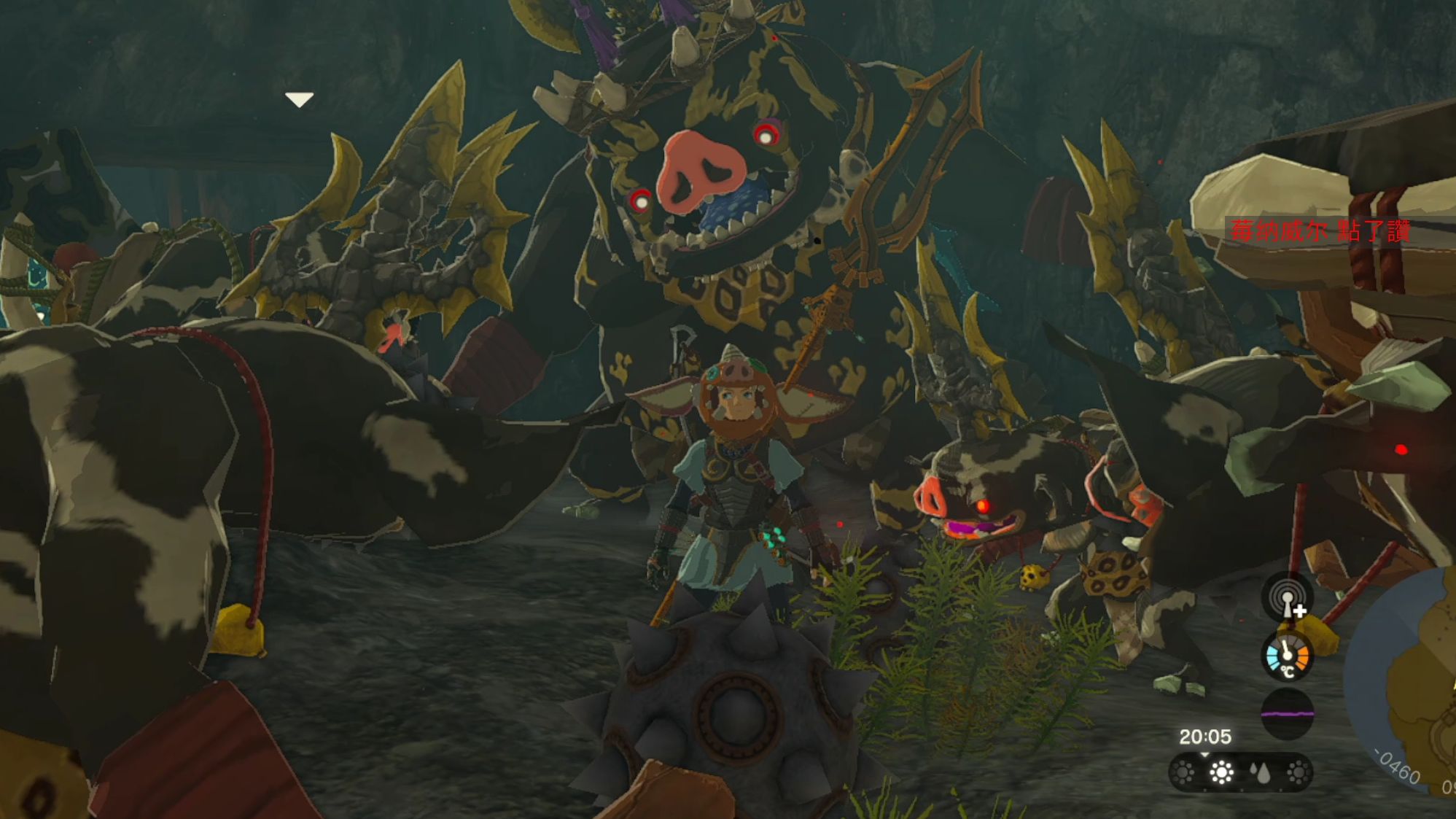 一白五黑. zelda-王国之泪