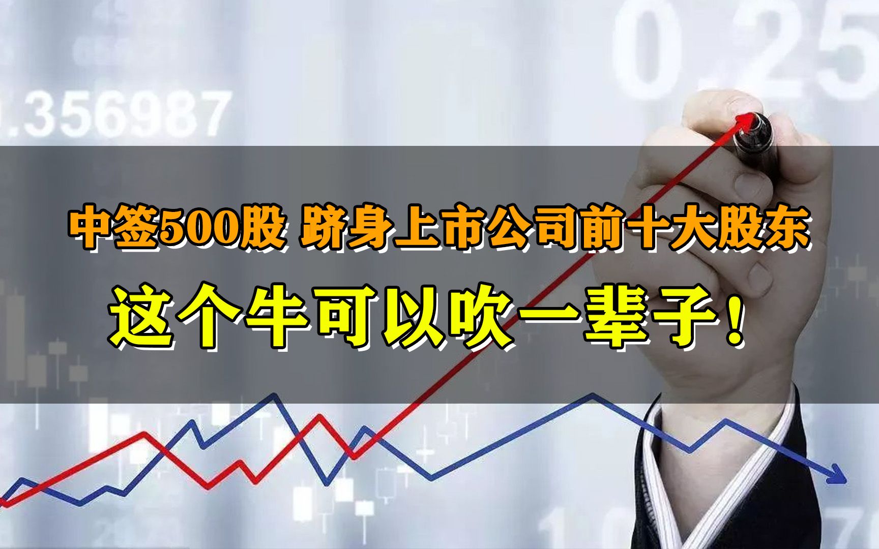 中签500股,跻身上市公司前十大股东,这个牛我可以吹一辈子!哔哩哔哩bilibili