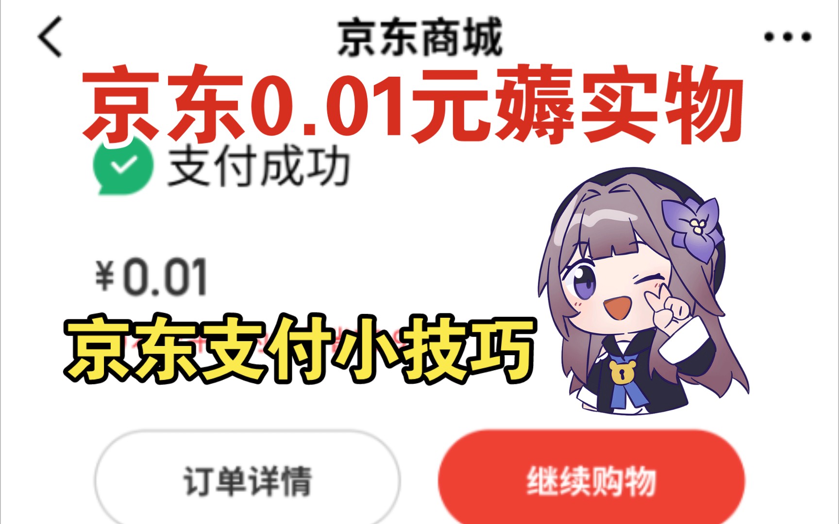 京东支付技巧,0.01元薅羊毛哔哩哔哩bilibili