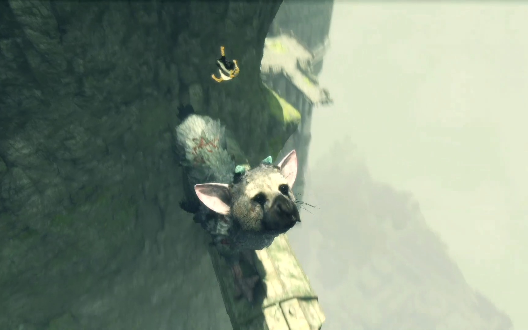 神叹一号的微博_微博