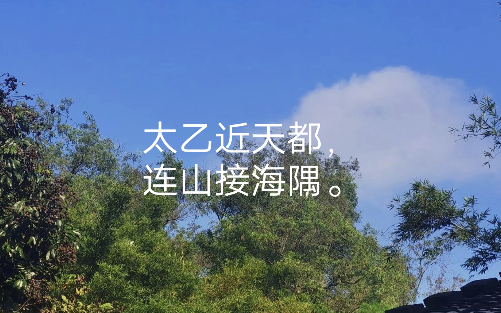 唐诗三百首(终南山[唐代]王维)哔哩哔哩bilibili