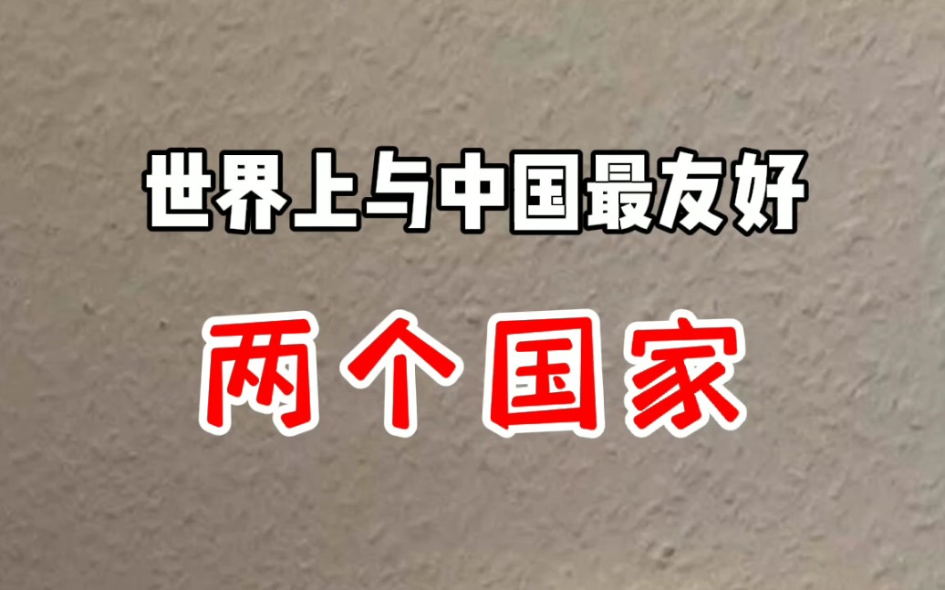 活动作品与中国最友好的两个国家