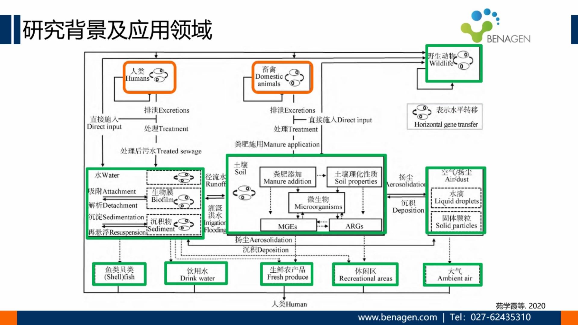 抗生素抗性基因分析(ARGs)哔哩哔哩bilibili