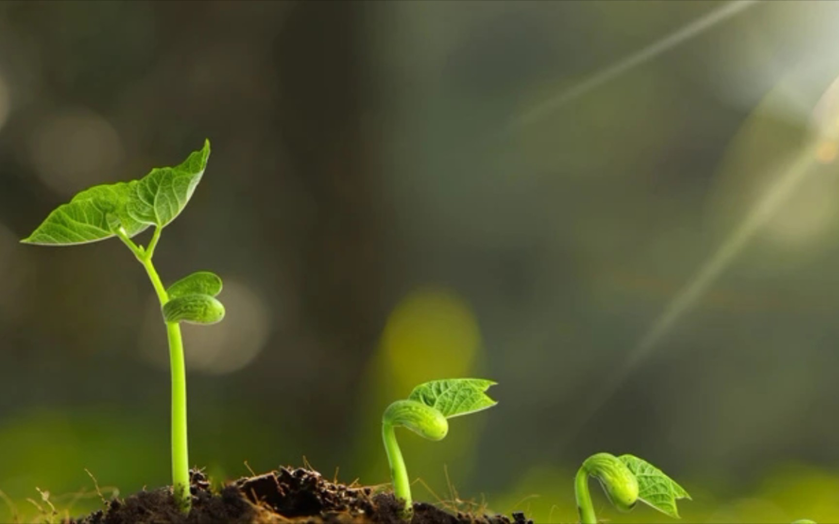 活动  从改变开始,有了新生.