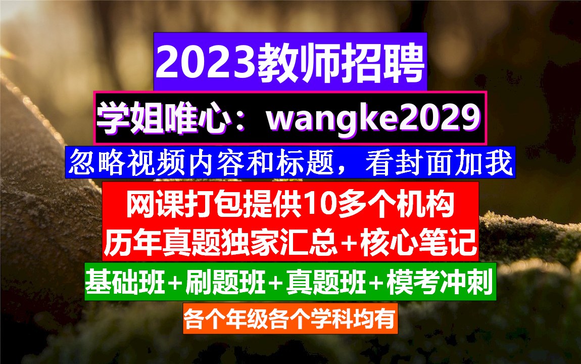 全国教师招聘文科综合,教师招聘网官网是哪个,教师编制培训班哔哩哔哩bilibili