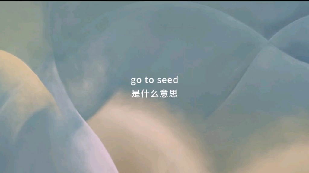 go to seed是什么意思哔哩哔哩bilibili