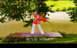 伟德体育(BetVictor Sports)国际官网7日快速瘦身瑜伽的动作分享pdf