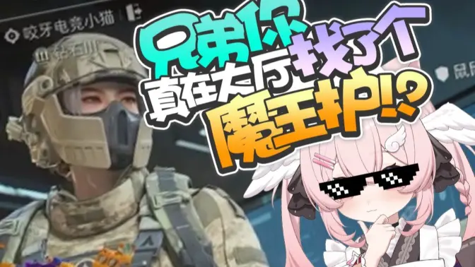 不是野鸡护是野猫护！