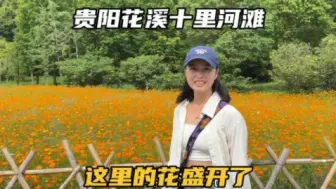 Download Video: 自驾贵阳花溪，十里河滩的花又开了，这里真的很适合过旅居慢生活