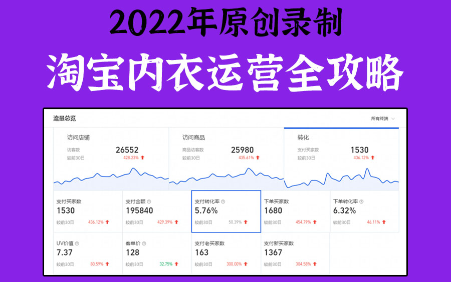 淘宝内衣店运营,2022年原创淘宝新手开店引流运营直通车生意参谋转化率文案策划电商运营视频教程哔哩哔哩bilibili