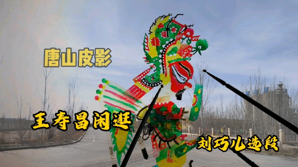 唐山皮影《王寿昌闲逛》,刘巧儿精彩唱段,老艺人唱功没得说