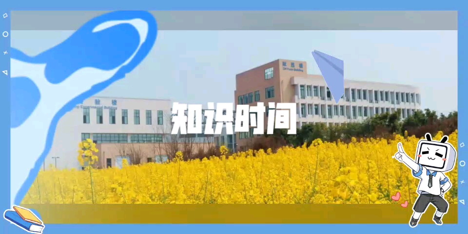 重庆交通大学+专业+就业哔哩哔哩bilibili