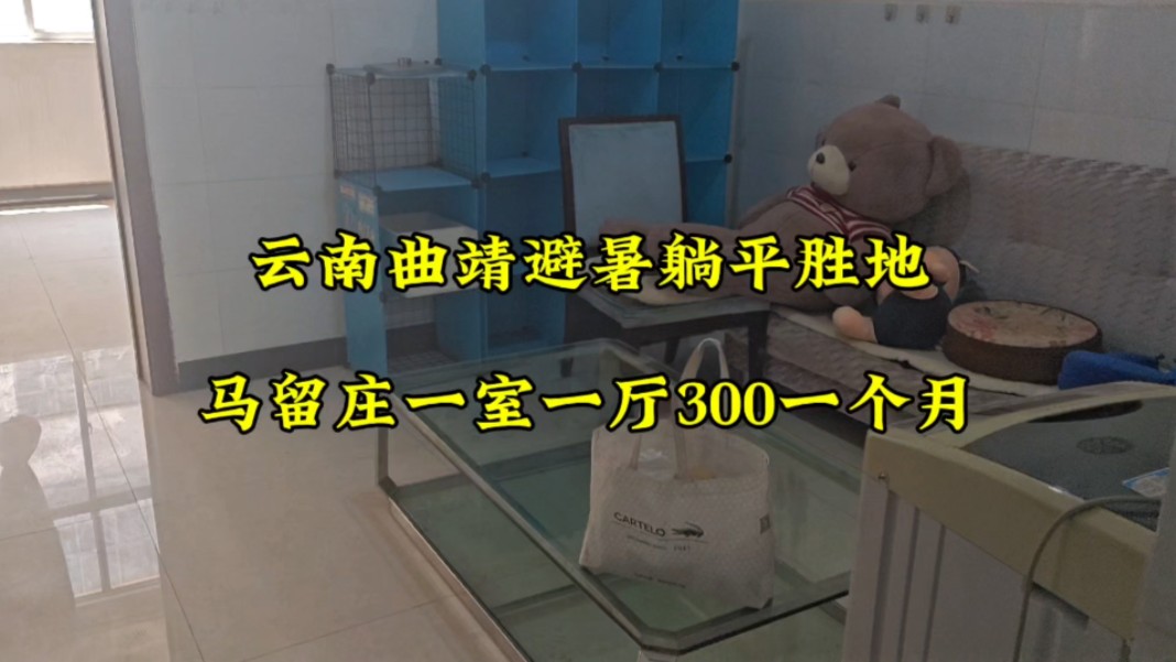 云南曲靖避暑躺平胜地马留庄一室一厅300三个月起租带洗衣机不可做饭哔哩哔哩bilibili