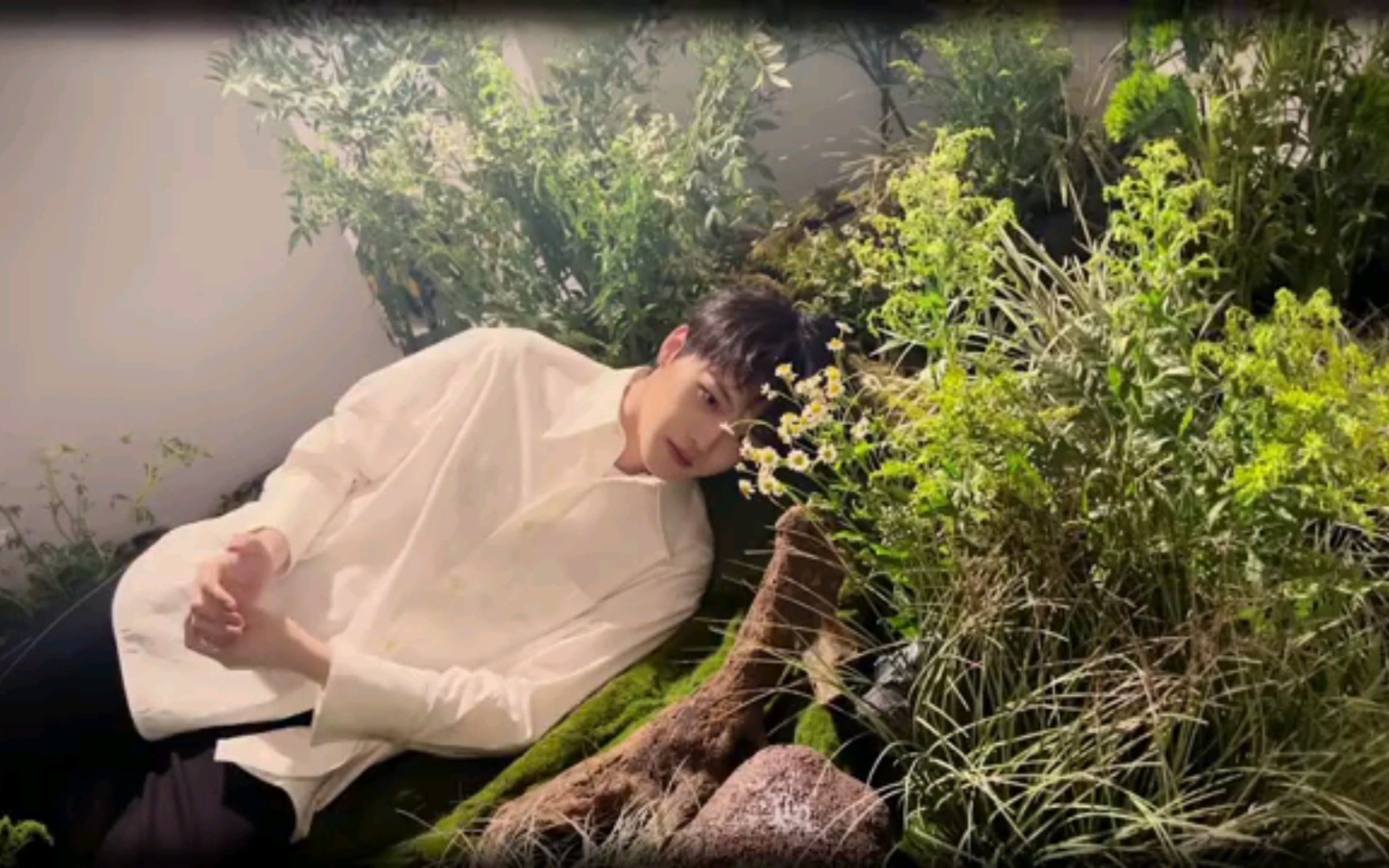 【小凡高】在森林里呼吸他的痕迹(春光再现混剪)