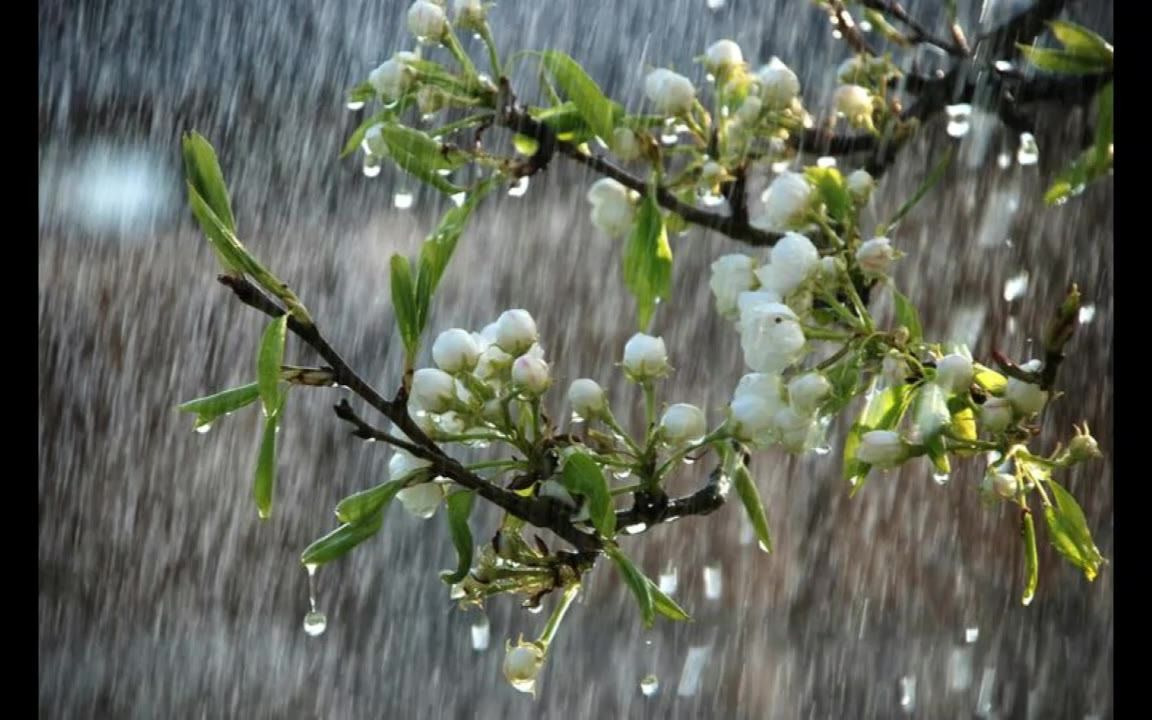 【原创钢琴曲】《春雨朦胧》 (spring rain) by stzheng [original