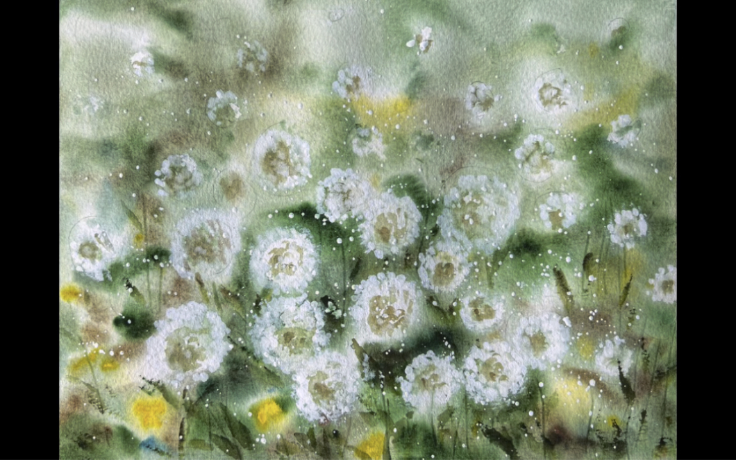 水彩画一幅春天的蒲公英