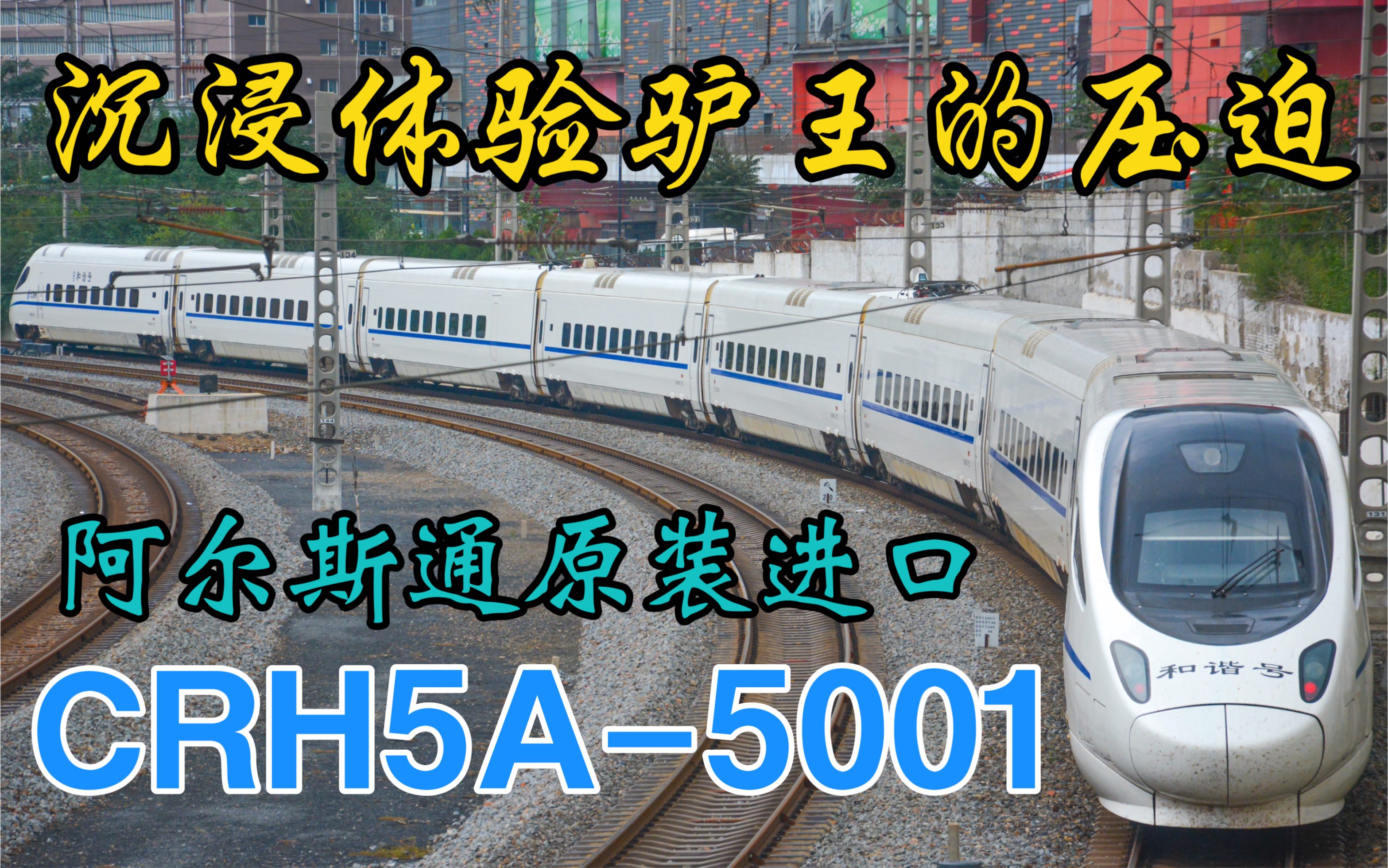 【阿尔斯通驴王】沉浸体验驴王的压迫感!CRH5A5001阿尔斯通意大利原装进口(护网外安全拍摄)哔哩哔哩bilibili