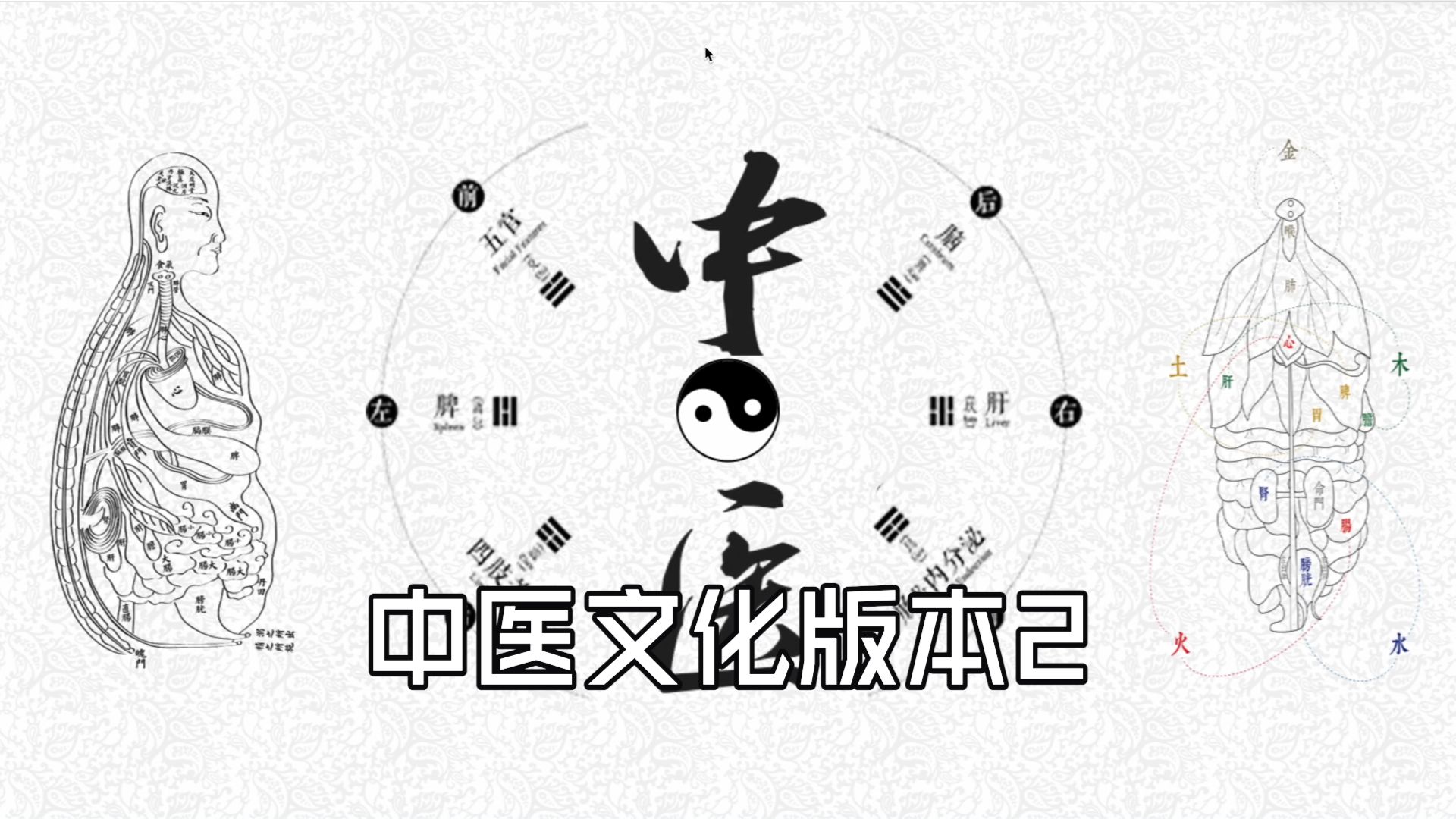 中医文化主题网站