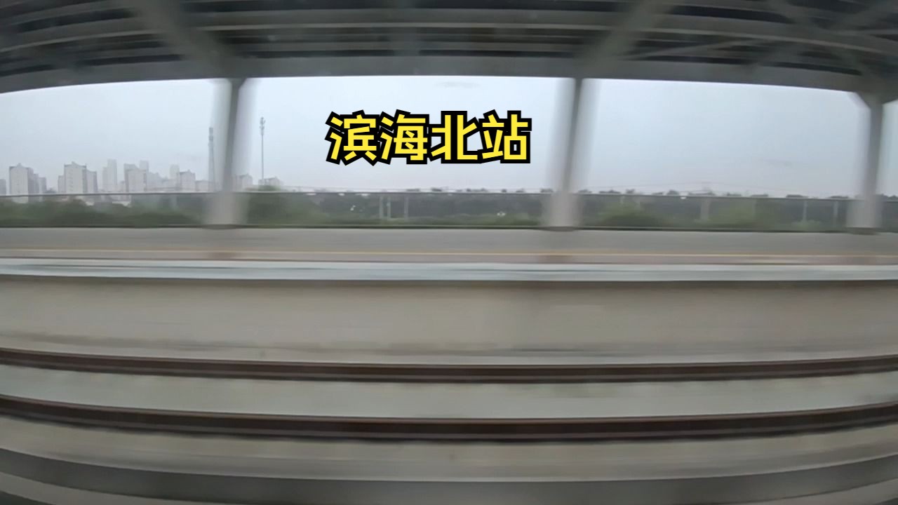 g1284次通过滨海北站