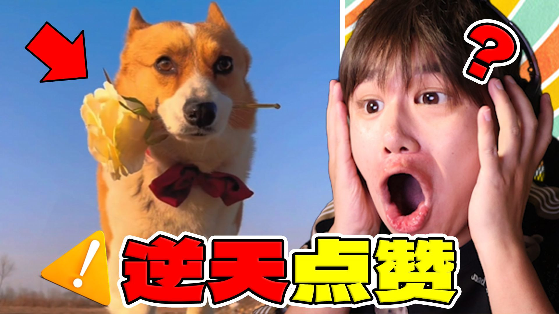 2023最火的视频，你看过几个?!