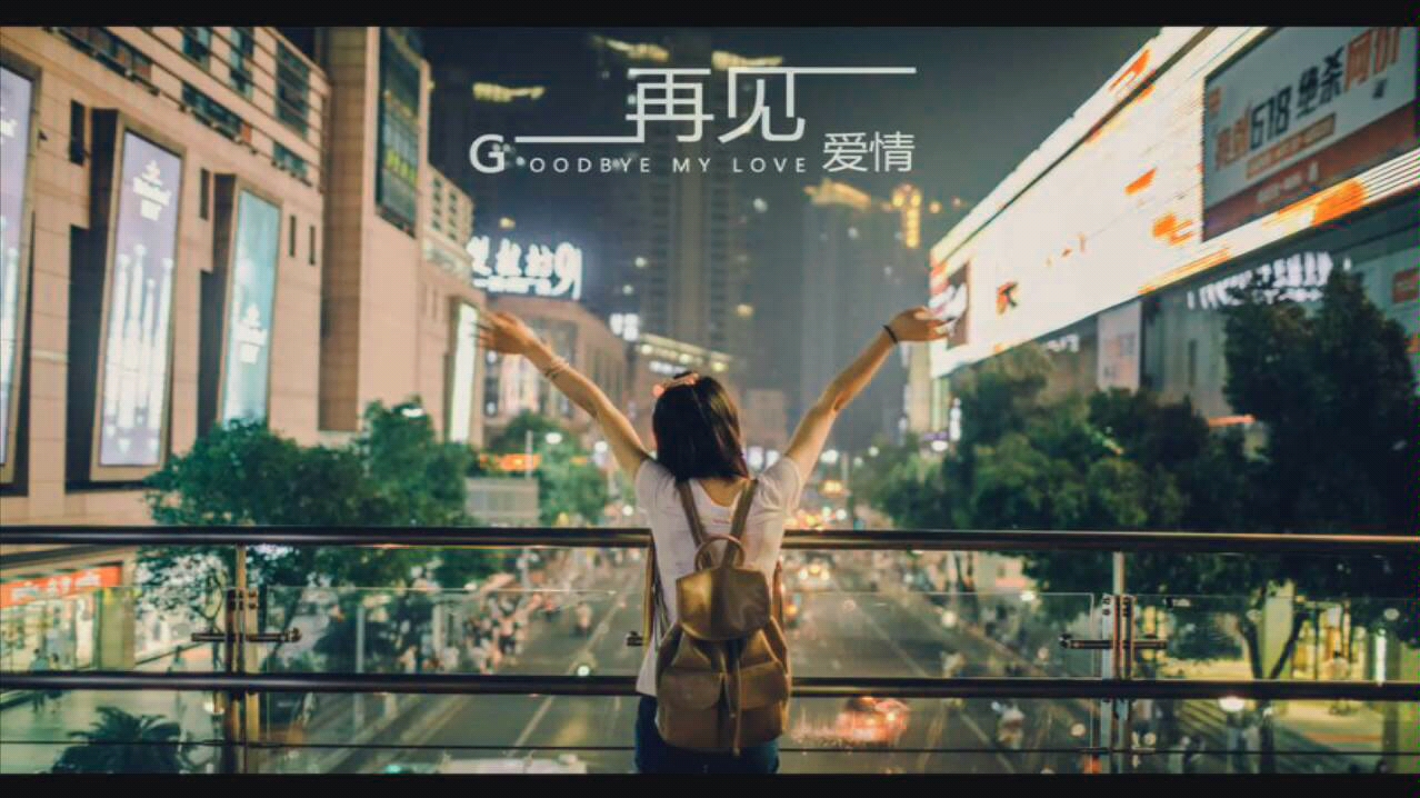 再见爱情夏婉安图片