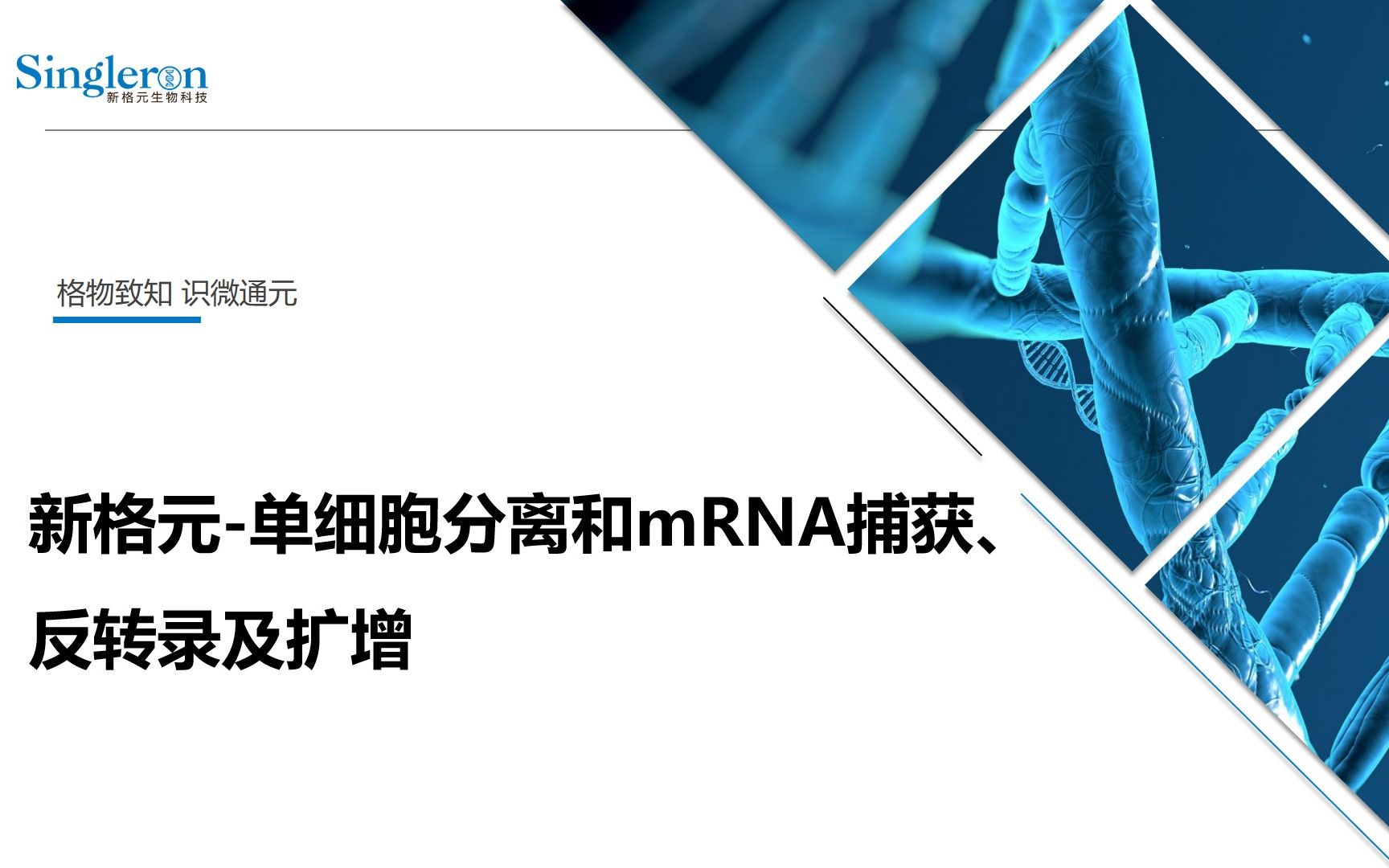 新格元单细胞分离和mRNA捕获、反转录及扩增哔哩哔哩bilibili